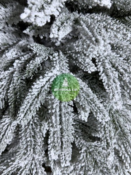 Лита ялинка Смерека засніжена 150 см smereka_150_snow фото