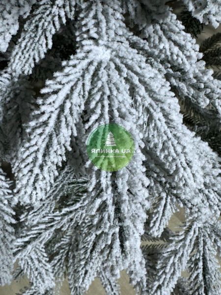 Лита ялинка Смерека засніжена 150 см smereka_150_snow фото