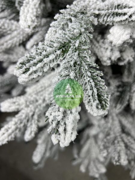 Лита ялинка Віденська засніжена 180 см videnska_180_snow фото
