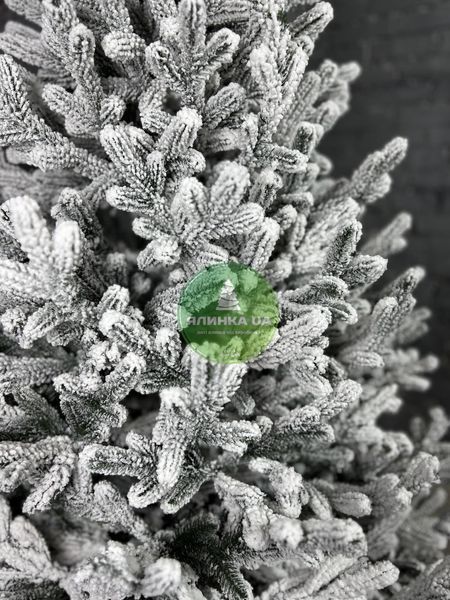 Лита ялинка Віденська засніжена 180 см videnska_180_snow фото