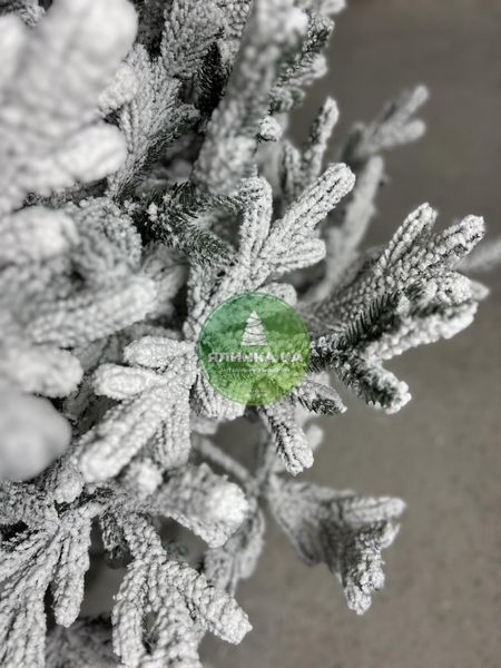 Лита ялинка Віденська засніжена 180 см videnska_180_snow фото