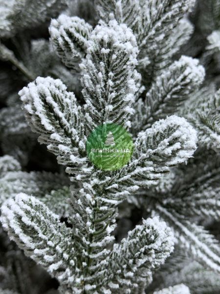 Лита ялинка Віденська засніжена 180 см videnska_180_snow фото