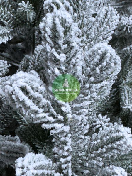 Лита ялинка Віденська засніжена 180 см videnska_180_snow фото