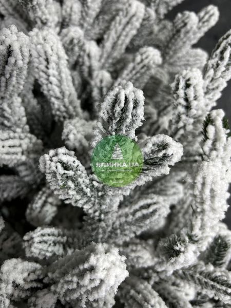Лита ялинка Віденська засніжена 180 см videnska_180_snow фото