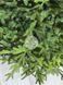 Литая елка Венская Весенняя зеленая 150 см videnska_spring_150_green фото 3