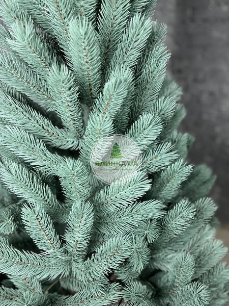 Лита ялинка Буковельська блакитна 150 см bukovelska_150_blue фото