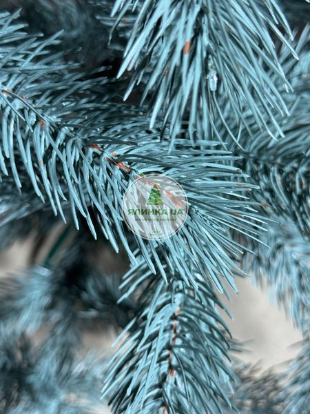 Лита ялинка Буковельська блакитна 150 см bukovelska_150_blue фото