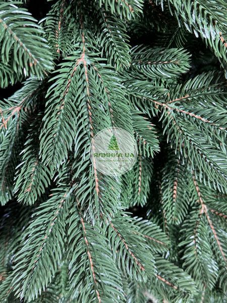 Литая елка Лапландская зеленая 210 см laplandska_210_green фото