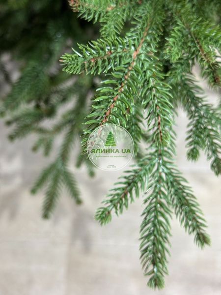 Лита ялинка Дафна на шарнірах (крабах) зелена 120 см dafna_120_green фото