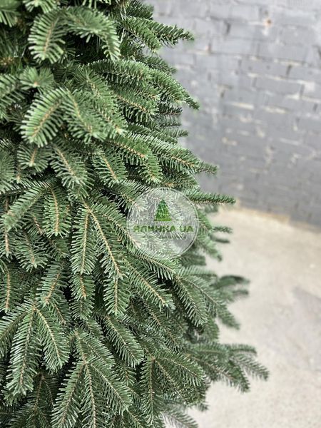 Комбинированная Елка Норвежская зеленая 150 см norway_150_green фото