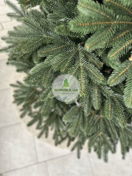 Лита ялинка Бельгійська Лісова зелена 150 см belgian_forest_150_green фото