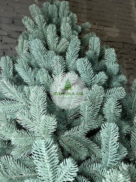 Лита ялинка Ковалівська блакитна 210 см kovalivska_210_blue фото