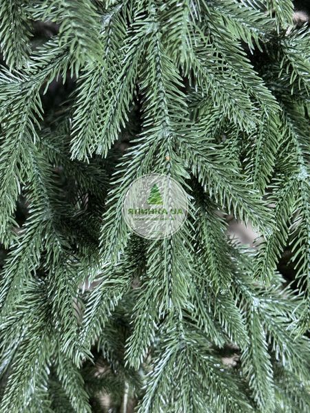 Смерека лита зелена 150 см smereka_150_green фото