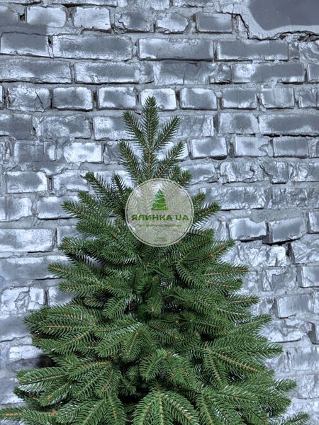 Лита ялинка Бельгійська зелена 150 см belhiiska_150_green фото