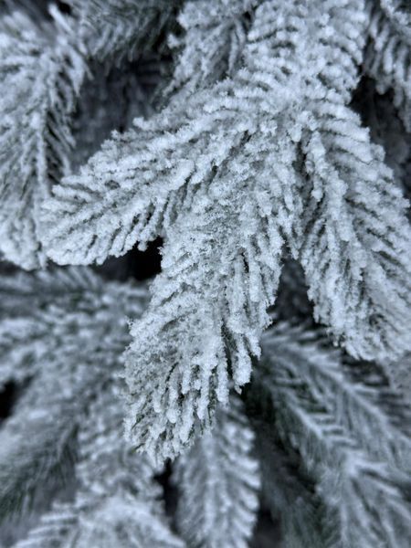 Лита ялинка Версаль засніжена 150 см versal_150_snow фото