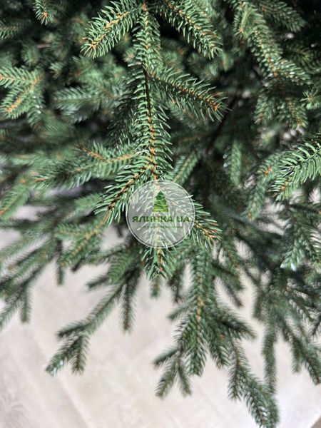 Лита ялинка Валерія на шарнірах (крабах) зелена 120 см valeria_120_green фото