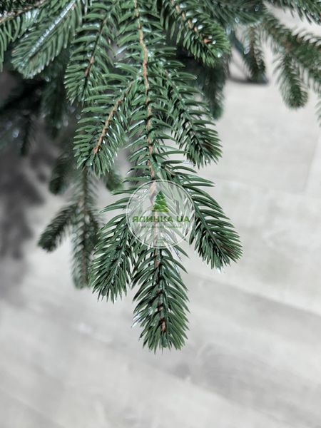 Лита ялинка Віденська-2 зелена 180 см videnska2_180_green фото