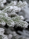 Лита ялинка Люкс Преміум на шарнірах (крабах) засніжена 180 см lux_premium_180_snow фото 2