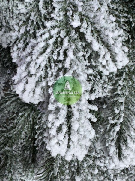 Литая елка Ковалевская заснеженная 250 см kovalivska_250_snow фото