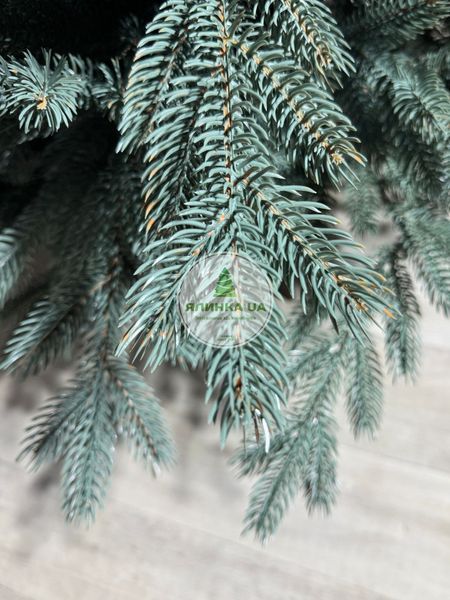 Лита ялинка Оскар на шарнірах (крабах) блакитна 120 см oskar_120_blue фото