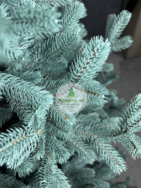 Лита ялинка Віденська-2 блакитна 150 см videnska_150_blue фото