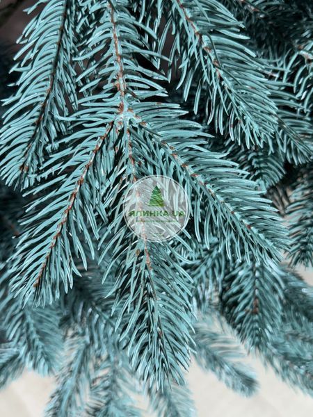 Лита ялинка Роял блакитна 150 см royal_150_blue фото
