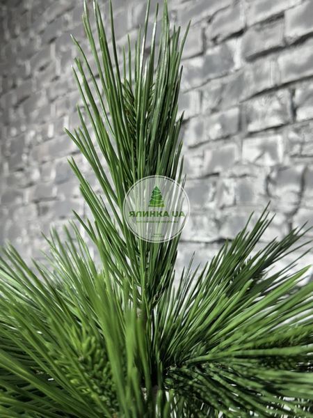 Лита ялинка Мішель на шарнірах (крабах) зелена 120 см mishel_120_green фото
