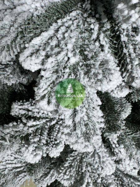 Лита ялинка Ковалівська-2 засніжена 210 см kovalivska2_210_snow фото
