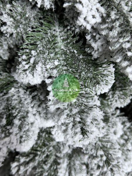 Лита ялинка Ковалівська-2 засніжена 210 см kovalivska2_210_snow фото