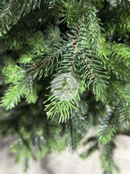 Лита ялинка Скандинавська салатові кінчики 180 см skandynavska_180_light_green фото