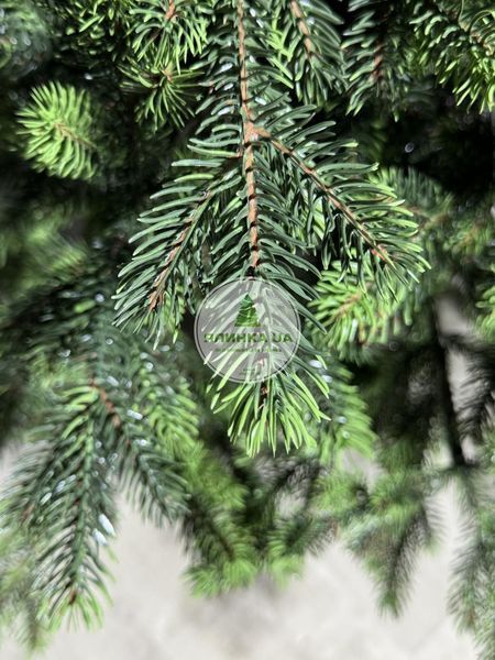 Лита ялинка Скандинавська салатові кінчики 180 см skandynavska_180_light_green фото
