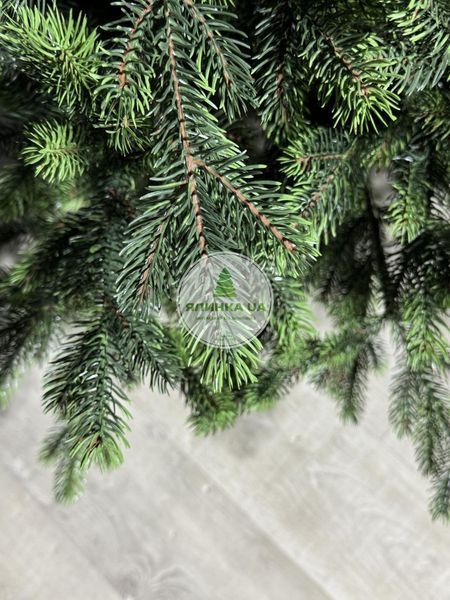 Лита ялинка Скандинавська салатові кінчики 180 см skandynavska_180_light_green фото