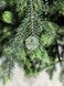 Лита ялинка Скандинавська салатові кінчики 180 см skandynavska_180_light_green фото 7
