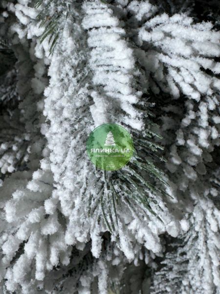 Лита ялинка Буковельська засніжена 180 см bukovelska_180_snow фото