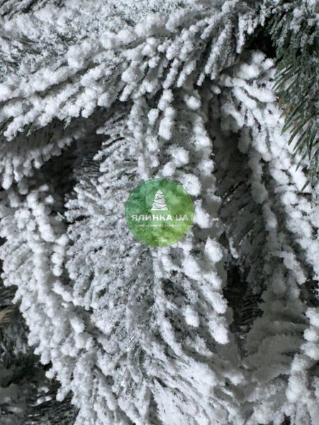 Лита ялинка Буковельська засніжена 180 см bukovelska_180_snow фото